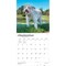 BrownTrout; Goldendoodles | 2027 12 x 24 Inch (Hanging) Monthly Square Wall Calendar | Plastic-Free; Category:Wall Calendars; Image:5